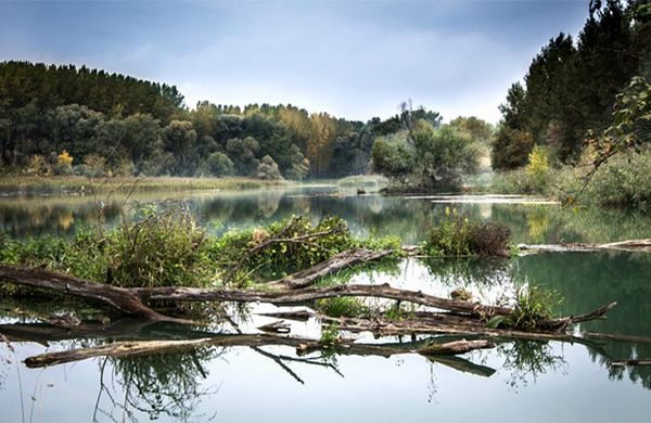 Initiatives de transition socio-écologique en BFC