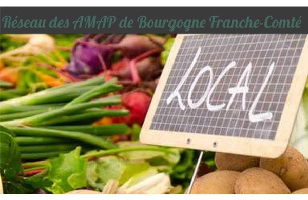 La création d'un réseau des AMAP en Bourgogne Franche-Comté