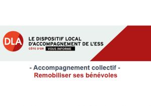 Accompagnement collectif -  Remobiliser ses bénévoles