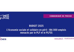 L'UDES publie un communiqué sur le Budget 2025