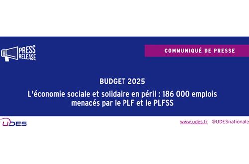 L'UDES publie un communiqué sur le Budget 2025